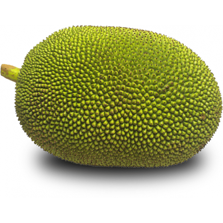 Jackfruit (कटहल)