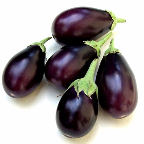 Brinjal ( बैंगन ) Baingan, round