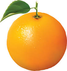 Orange ( संतरा ) Santara