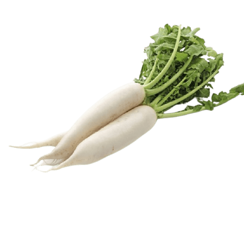 Radish ( मूली ) Moolee